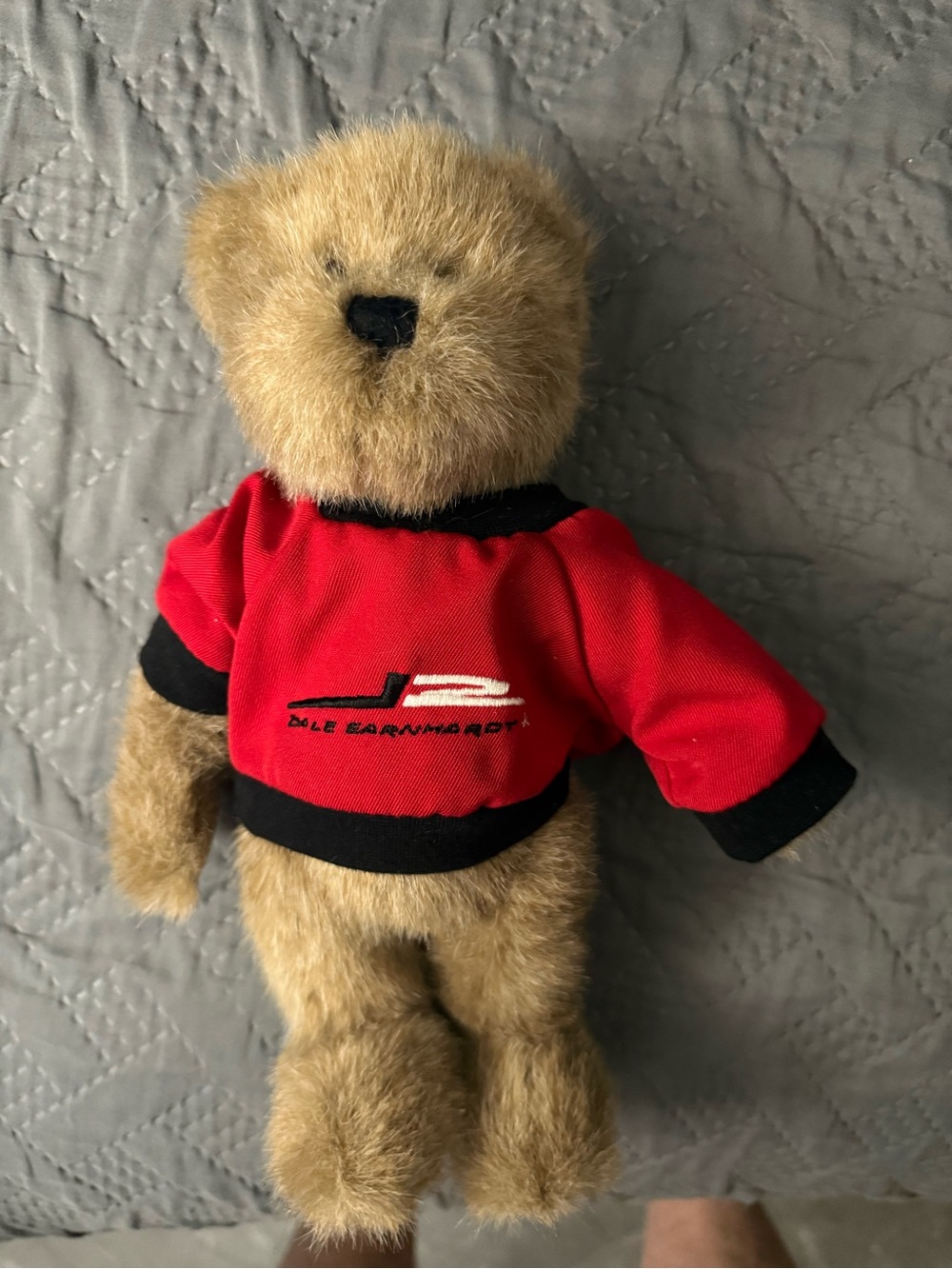 vintage Boyds Racing Bears Dale Earnhardt Jr. #8 plush teddy bear from 2004